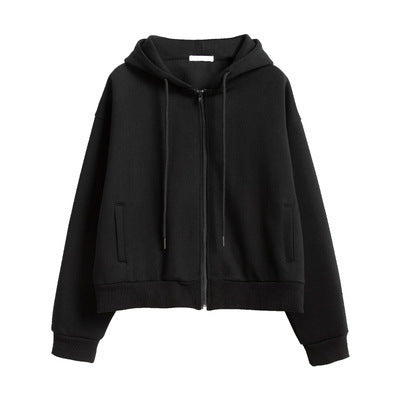 Harbor Hoodie